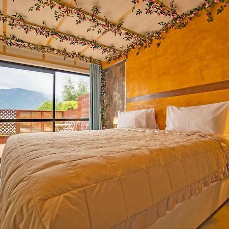Waikoura Springs Bed and Breakfast Kaikoura Esterno foto